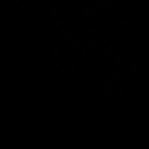 Meet your Posher, Swrv